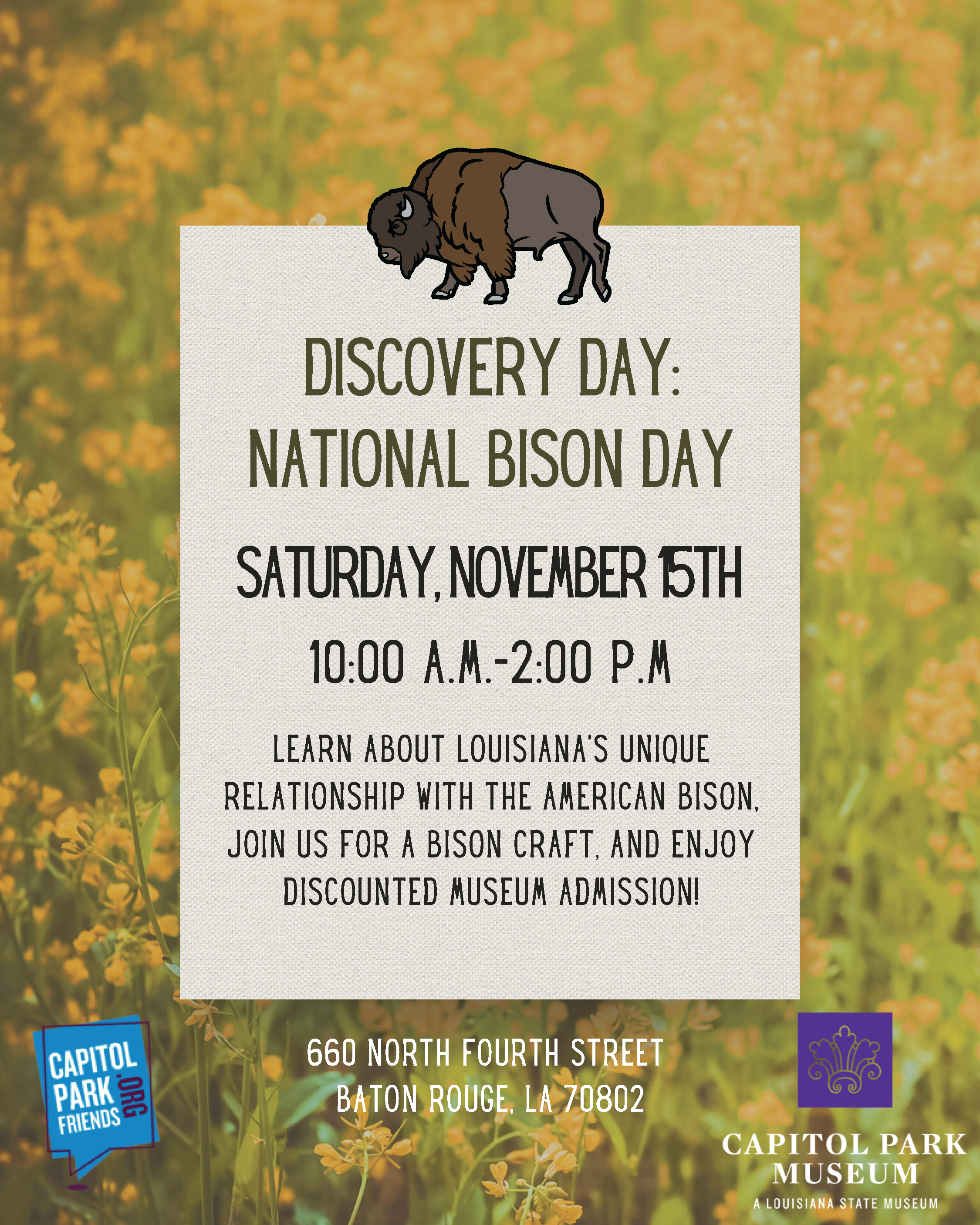 Flyer for Discovery Day: National Bison Day at Capitol Park Museum. The background is a field of yellow wildflowers with a drawing of a bison above the event details. Text reads: “Discovery Day: National Bison Day. Saturday, November 15th, 10:00 a.m.–2:00 p.m. Learn about Louisiana’s unique relationship with the American bison, join us for a bison craft, and enjoy discounted museum admission!” At the bottom, location is listed: 660 North Fourth Street, Baton Rouge, LA 70802. Logos for Capitol Park Friends a